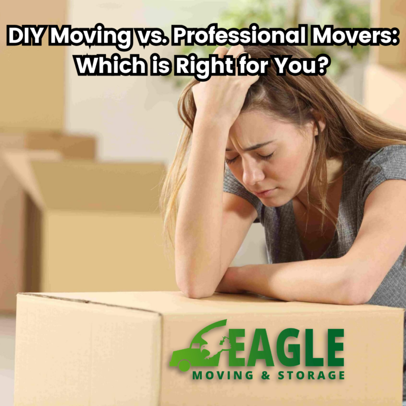 diy move or professional movers